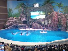 -金苑海鲜酒家(来魅力店)