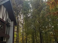 -太阳岛度假酒店