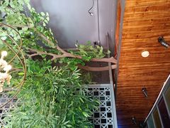 -湘当爱·鲜煮现炒(松岗立业路店)