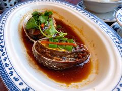 鲜鲍鱼-宁波状元楼酒店(和义路店)