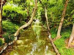 -上海方塔园