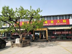 -崔家大院·特色农家菜