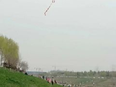 -洨河生态公园