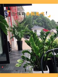 -Garden花園造型