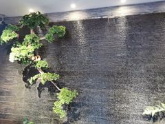 -丽华园(青少年宫店)
