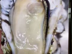 -蠔爺王志德生蚝馆(金沙湾店)
