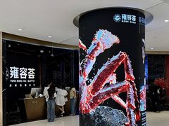-雍容荟活波龙自助餐(IFS黑金店)