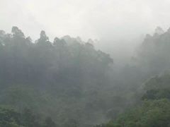 -火炉山森林公园