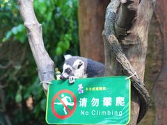 -广州长隆野生动物世界