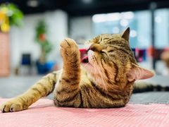 -FIGHTMAN格斗俱乐部(长宁临空店)