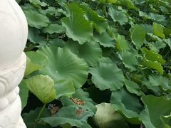 -小王府(什刹海店)