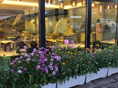 门面-玫瑰西餐厅.意面披萨.牛排咖啡