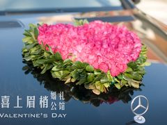 -上海龙之梦万丽酒店