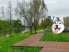 -怡海公园(桂城街道)