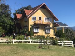 -黄色小屋