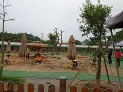 -长洲岛都市农业公园
