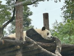 -武汉动物园