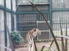 -广州动物园
