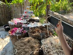 -大象粑粑造纸公园