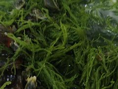 -考记泥焗鸡农庄·海鲜(北洛秘境店)