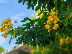 -白城沙滩