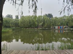 -圣露庄园·亲子活动乐园·露营·团建婚礼