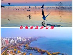 -尧山风景区