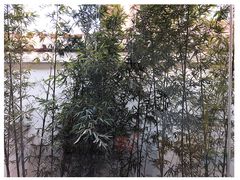 -竹雨堂创意中国菜(裕华店)
