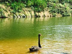 -徽州美食(三十年老店)