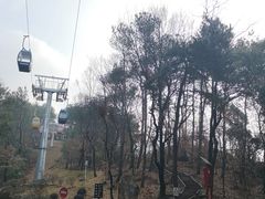 -东湖磨山景区
