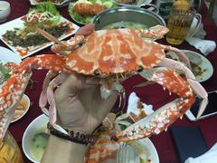 -QQ海鲜餐厅