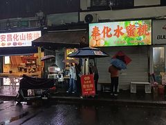 -孙奶奶葱包桧