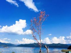 -丽江泸沽湖景区