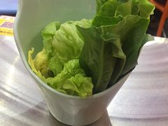 -蚝羊氣惠来羊肉火锅·高压锅生蚝