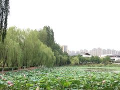 -滨湖塘西河公园