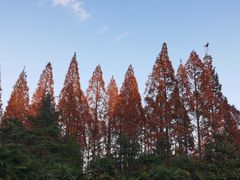 -上海怡沁园度假酒店