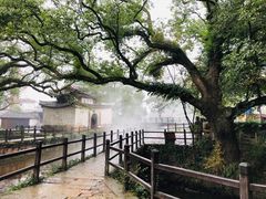 -古堰画乡景区
