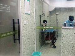 -瑞鹏·疫苗·绝育·宠物医院(金沙洲店)