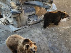 -保定市动物园