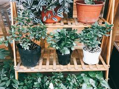 门面-猫的天空之城概念书店(杭州南宋御街店)