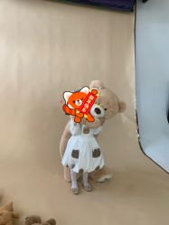 -憨大叔儿童摄影 80店连锁(柯桥店)