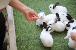 -萌宠亲子动物乐园(槐房万达店)