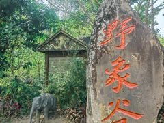 -野象谷景区