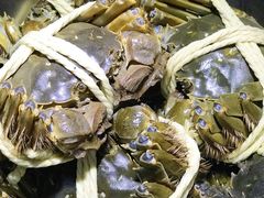 -阳澄湖大闸蟹·琼灵阁牌品牌连锁(吴中总店)