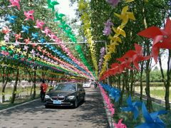 -漩门湾国家湿地公园