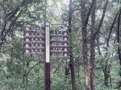 -云龙山