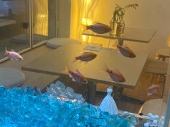 -极动室内恒温游泳馆