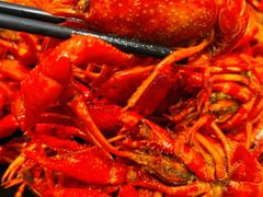 -聚味瞿记·龙虾堂(梅溪湖店)