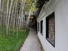 -求雨山文化公园