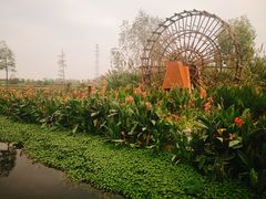 -那考河湿地公园